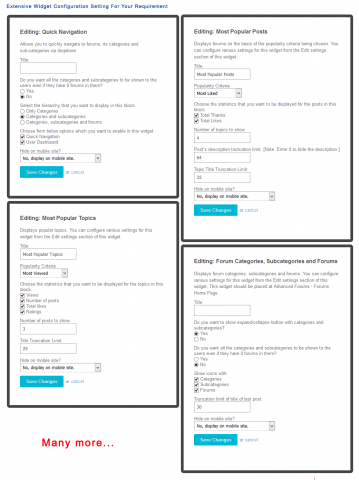 Extensive Widget Configuration Setting For Your Requirement