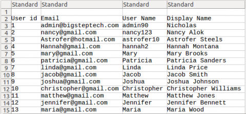 User Report (CSV Format)