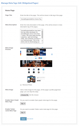 Manage Meta Tags: Edit (Widgetized Pages)