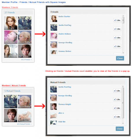 Member Profile: Friends / Mutual Friends with Square Images