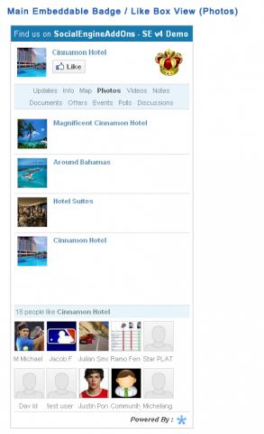 Main Embeddable Badge / Like Box View (Photos)