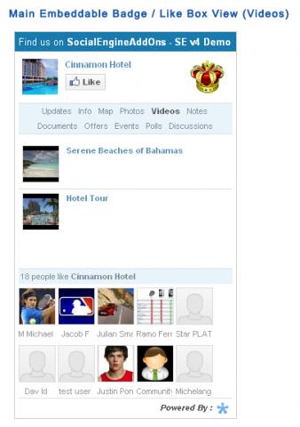 Main Embeddable Badge / Like Box View (Videos)