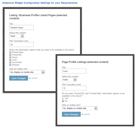 Extensive Widget Configuration Settings for your Requirements