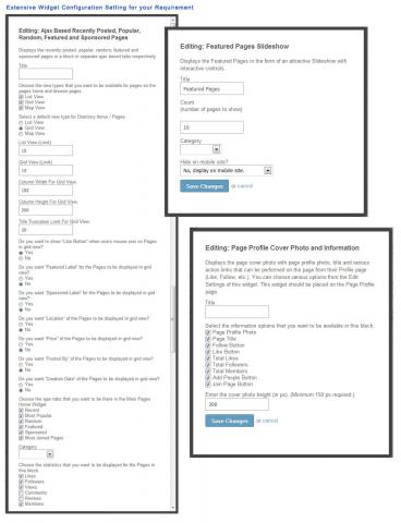 Extensive Widget Configuration Setting for your Requirement