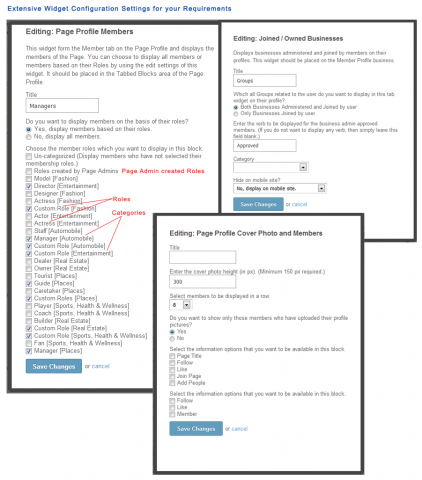 Extensive Widget Configuration Settings for your Requirements