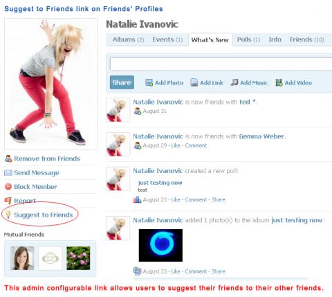 Suggest to Friends link on Friends' Profiles