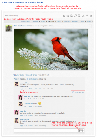 Advanced Comments On Activity Feed