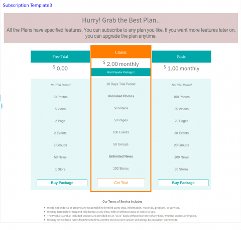 Subscription Template3