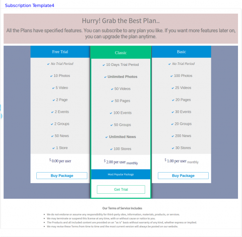 Subscription Template4